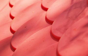 Lee Head plastic roof costs